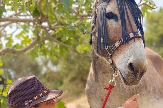 Tour the Sanctuary and Walk with the Donkeys and Share their Love - FAQs