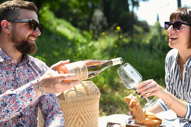 Tour through the vineyards and wine and olive oil tasting in Tuscany - Value for Money