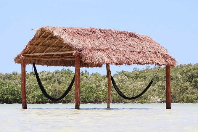 Tour to Agua Azul Island Departure from Merida to Yucatan - Who Would Enjoy This Tour?