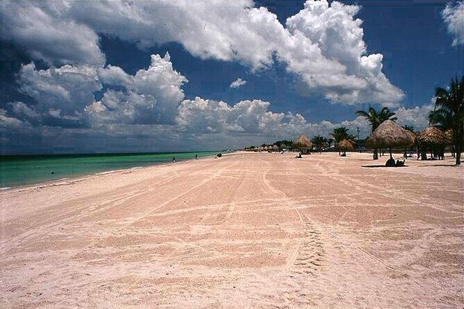 Tour to Celestun and see the flamingos - Key Points