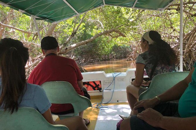 Tour to Celestún - Final Thoughts