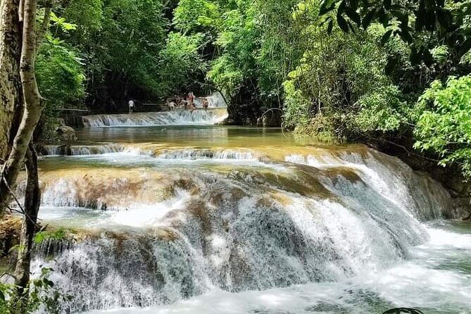 Tour to Copalitilla Magical Waterfalls from Huatulco with admission included - Learning About Local Culture: Coffee and Medicinal Plants