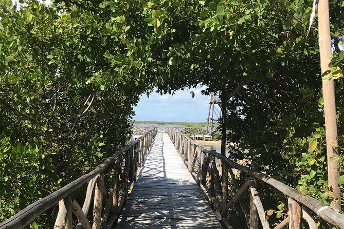 Tour to Cozumel Eco Nature Escape and Otoch Mayan Experience - Final Thoughts