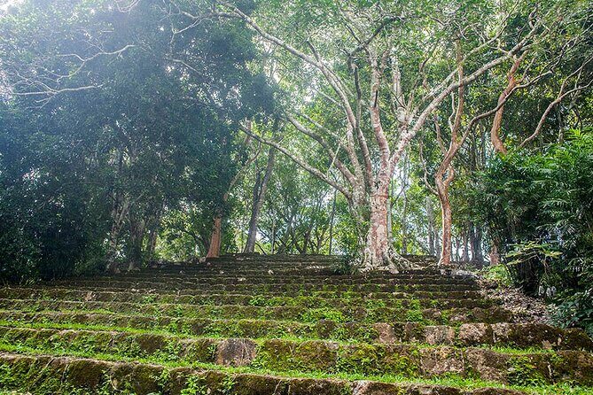 Tour to Dzibanche and Kohunlich with Transportation and 3 Course Meal Included - The Jungle Lunch at The Explorean Kohunlich
