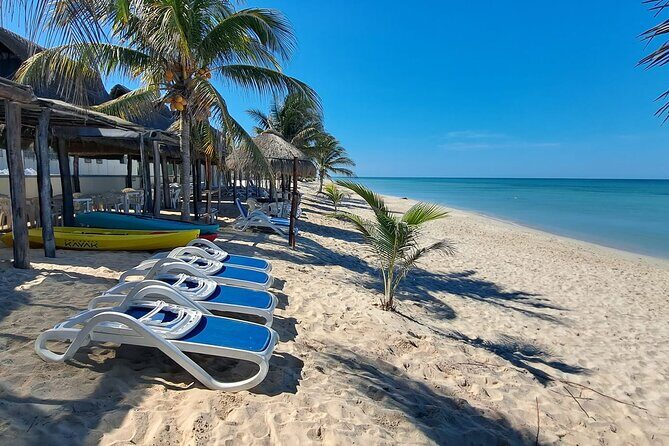 Tour to Edzna and Tortugas Bay - Discovering the Edzna and Tortugas Bay Tour: A Balanced Mix of Culture and Relaxation