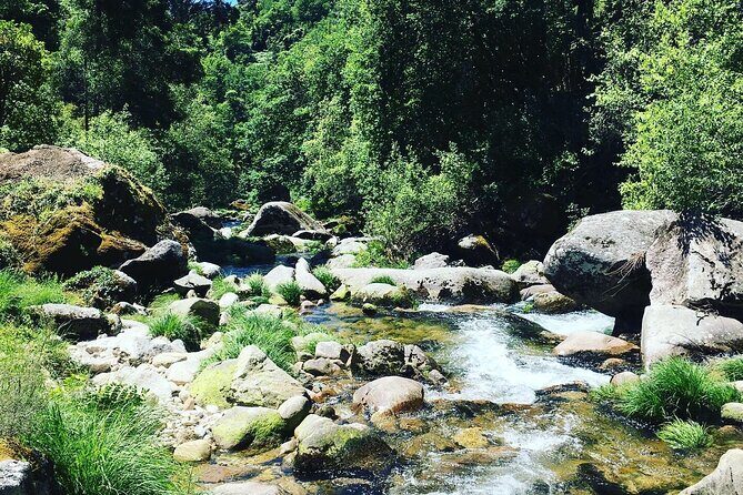 Tour to Gerês in 4x4 full day with option of SUP Tour - Discover the Beauty of Gerês on a Full-Day 4x4 Tour