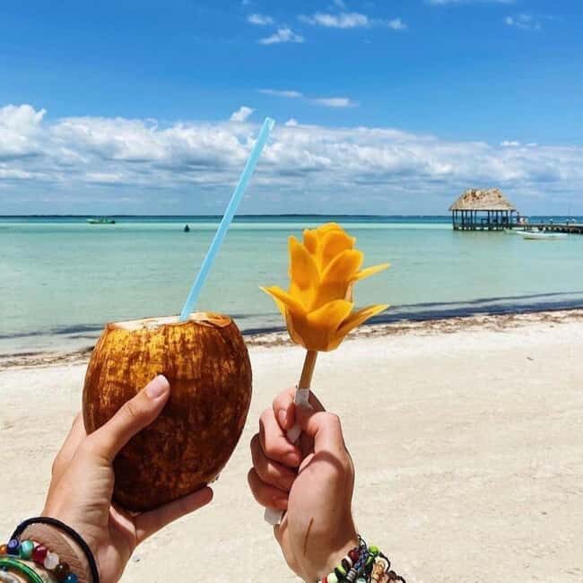 Tour to Holbox with food and transportation from Cancun, Playa del Carmen, and Tulum - Cost and Value