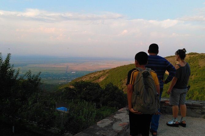 Tour to Kakheti. Sighnaghi Bodbe Monastery Tsinandali Telavi Winery Gombori - Who Is This Tour Best For?