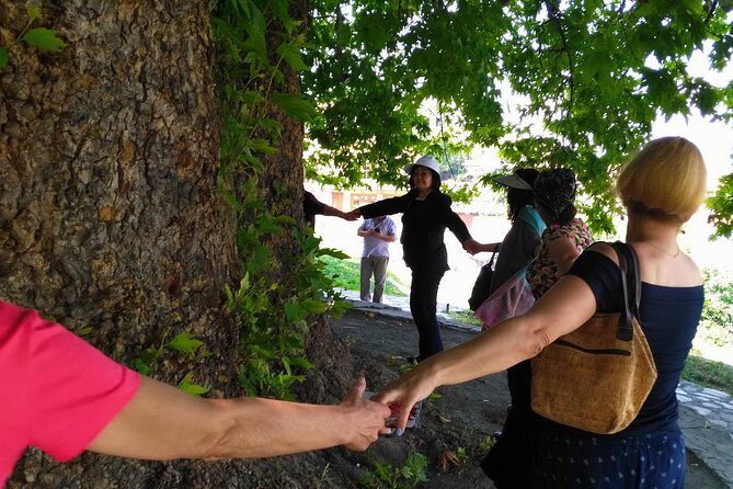 Tour to Kakheti. Sighnaghi Bodbe Monastery Tsinandali Telavi Winery Gombori - FAQs About the Kakheti Tour