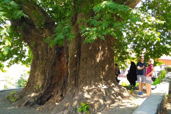 Tour to Kakheti. Sighnaghi Bodbe Monastery Tsinandali Telavi Winery Gombori - Final Thoughts