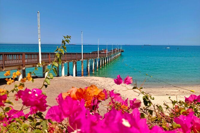 Tour to La Paz Playa Balandra Malecón and Todos Santos - In-Depth Look at the Tour Experience