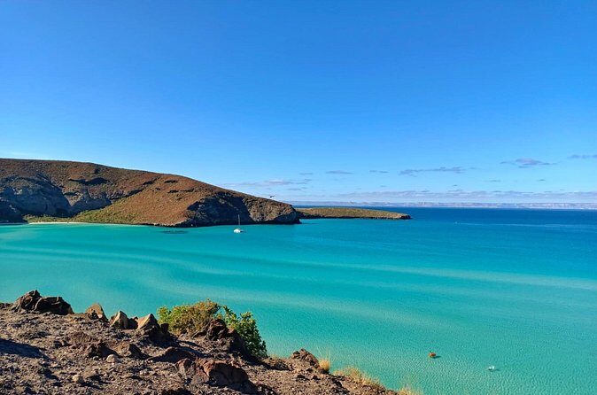 Tour to La Paz Playa Balandra Malecón and Todos Santos - Final Thoughts