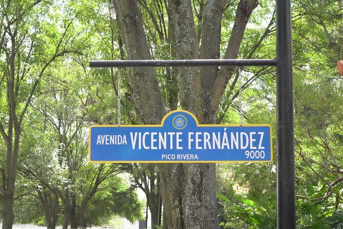 Tour to Lake Chapala, MAGIC TOWN of Ajijic from Guadalajara - The Practical Side: Logistics & Value