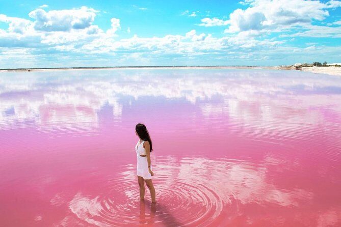 Tour to Las Coloradas Pink Waters and Boat Ride in Rio Lagartos with Lunch. - A Close Look at the Tour Experience
