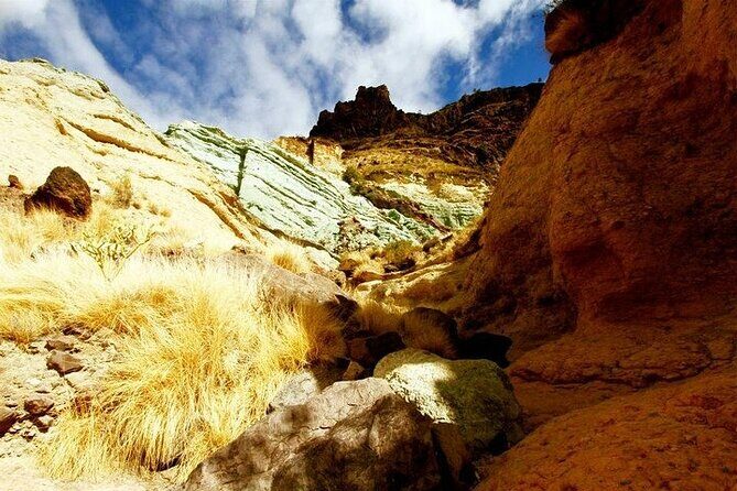 Tour to Mogán, La Aldea & Las Canteras - Big Island tour - An Overview of the Tour Experience