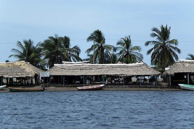 Tour to Puerto Arista and Boca del Cielo from San Cristobal - Who Should Consider This Tour?