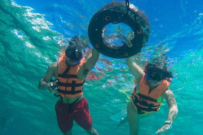 Tour to swim with turtles - The Realities of the Experience