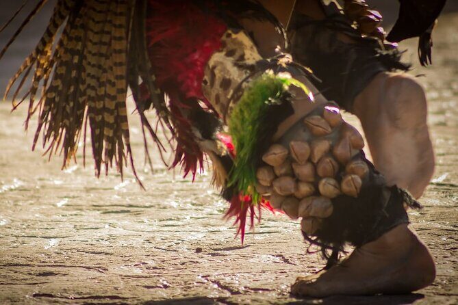 Tour to Teotihuacan by Panoramic Bus with Food Option - The Full Breakdown of the Experience