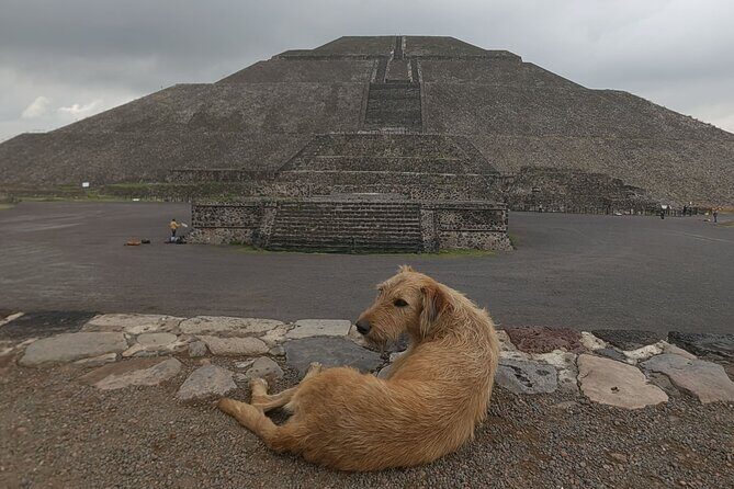Tour to Teotihuacan from CDMX with entrances included - Key Points