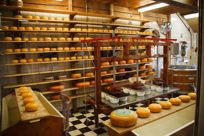 Tour to the Alkmaar Cheese market and Windmills from Amsterdam - Who Is This Tour Best For?