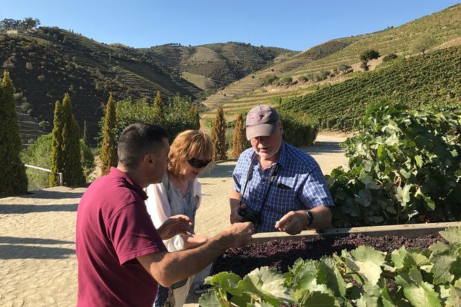 Tour to the Palace of Mateus and the Douro - FAQ