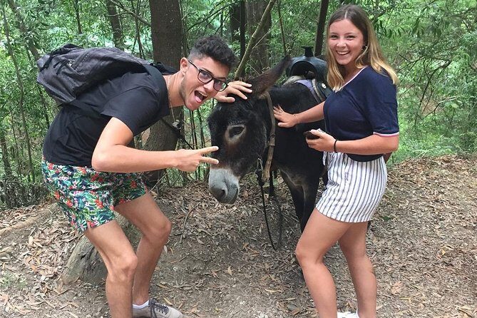 Tour to the Waterfalls in 4x4 full day - Food and Drink: A Taste of Local Flavors