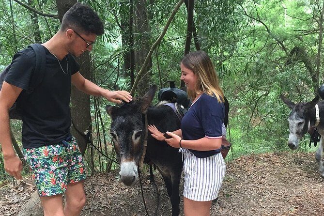 Tour to the Waterfalls in 4x4 full day - Logistics and Value