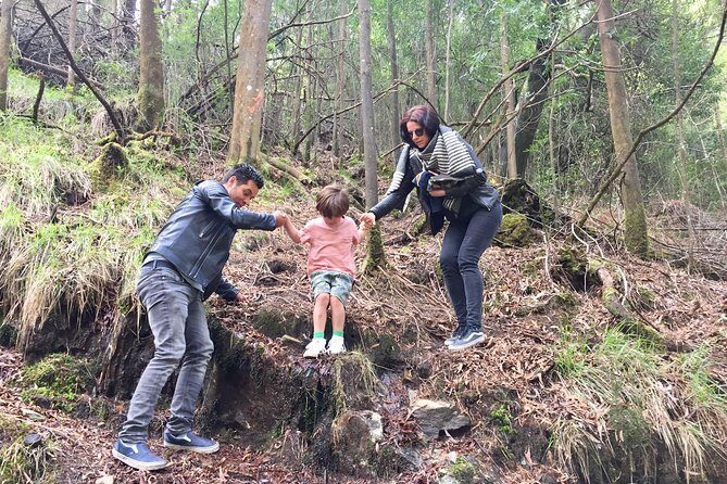 Tour to the Waterfalls in 4x4 full day - Who Is This Tour Best For?