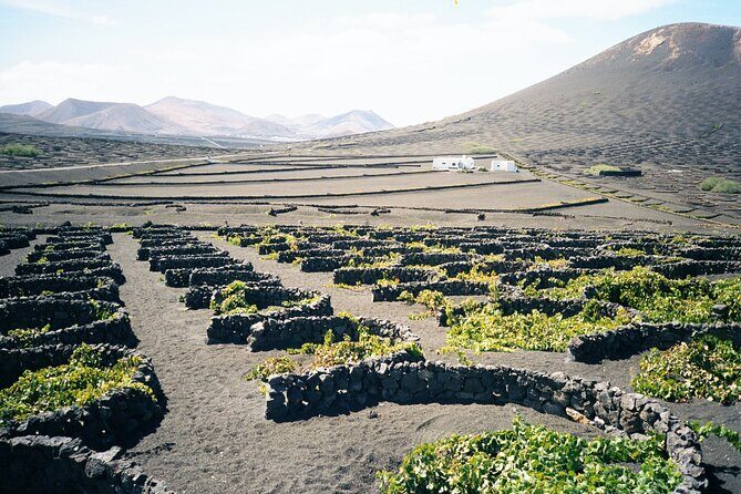 Tour to Timanfaya, La Geria and La Laguna Verde - A Closer Look at the Itinerary