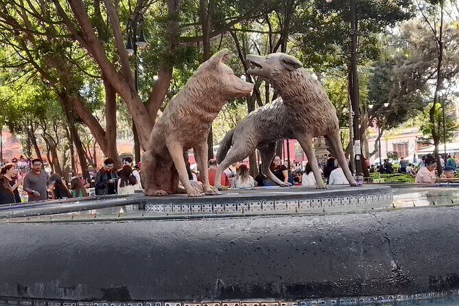 Tour to Xochimilco and Coyoacan and Frida Khalo - What’s Included and What to Expect