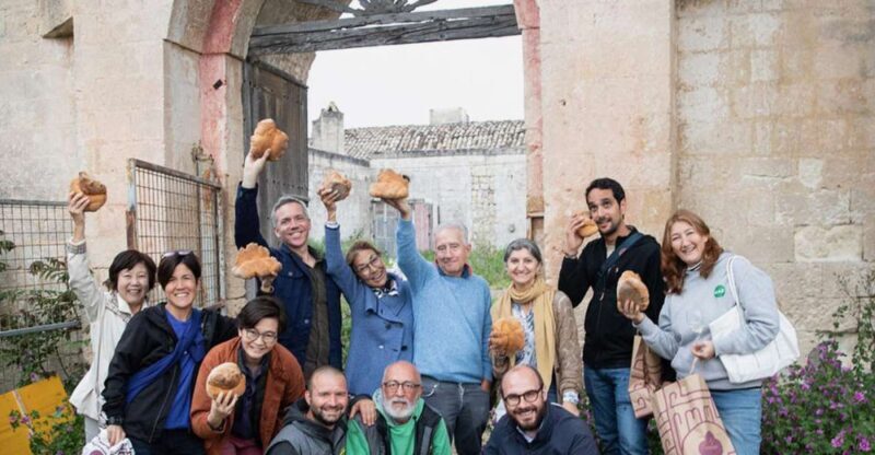 Tour tra i Templi dell'Olio e gli Olivi Patriarchi - How the Experience Measures Up for Travelers