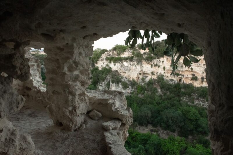 Tour tra i Templi dell'Olio e gli Olivi Patriarchi - Who Is This Tour Best For?