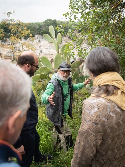 Tour tra i Templi dell'Olio e gli Olivi Patriarchi - Frequently Asked Questions