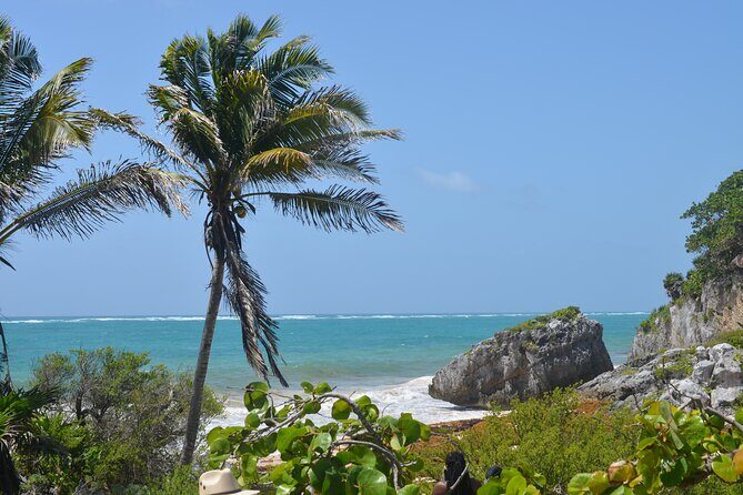 Tour Tulum, Cenote and Swim with Turtles in Akumal - Logistical Details