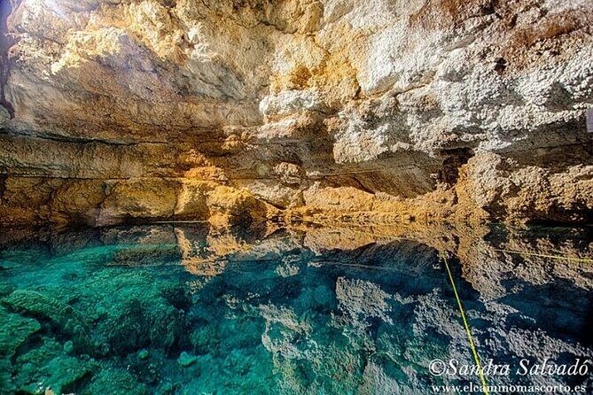 Tour Tulum Coba Cenote and Playa del Carmen (4 in 1) - Final Thoughts