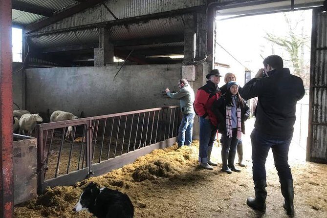 Tour Wicklow Mountains National Park in a limo with private guide - Why Choose a Private Wicklow Mountains Tour?