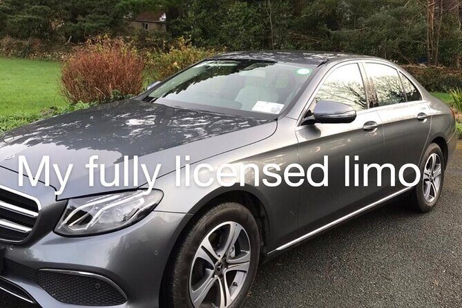 Tour Wicklow Mountains National Park in a limo with private guide - Who Is This Tour Best Suited For?