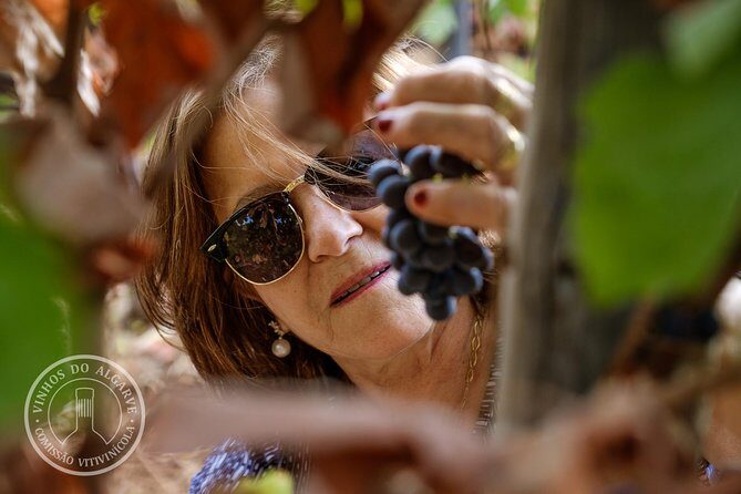 Tour & Wine tasting - Authentic Algarve Flavours by Quinta da Tôr - The Authentic Algarve Experience