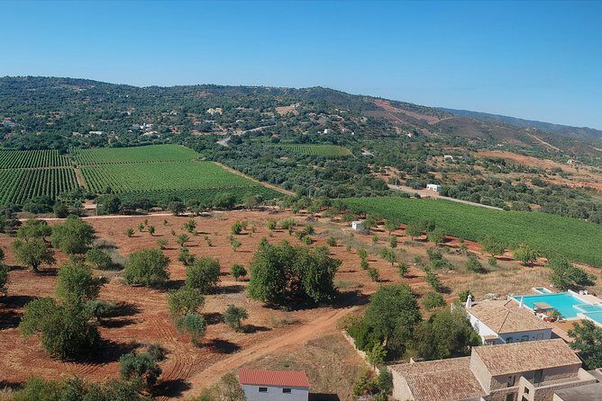 Tour & Wine tasting - Authentic Algarve Flavours by Quinta da Tôr - Final Thoughts