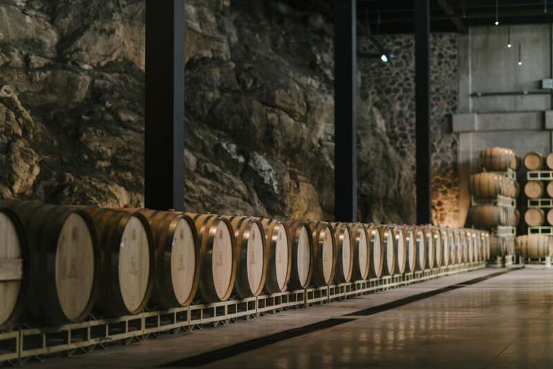 Tour & Wine Tasting San Miguel Vineyard / San Miguel Experience - Price and Value