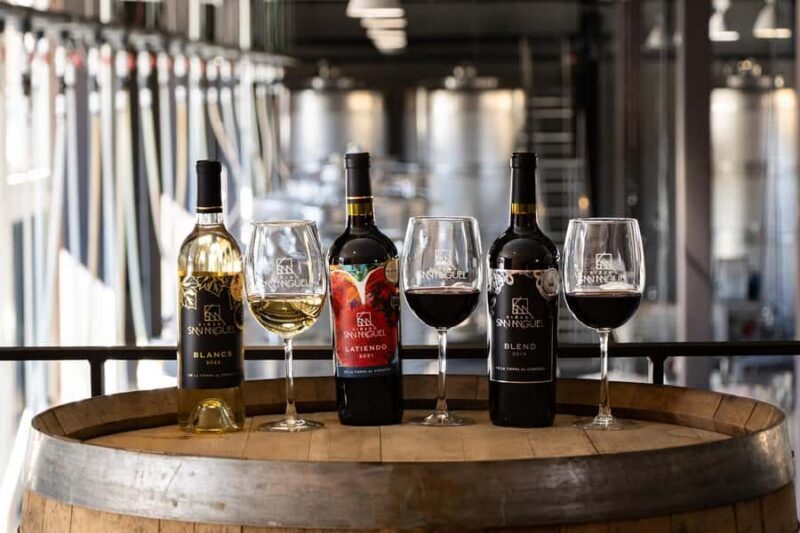 Tour & Wine Tasting Viñedo San Miguel / San Bartolo Experience - An In-Depth Look at the Tour & What You Can Expect