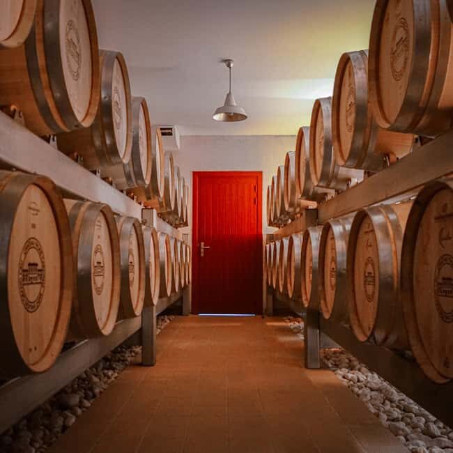 Tour & wine tasting with chocolate spheres (Saint-Emilion) - Key Points