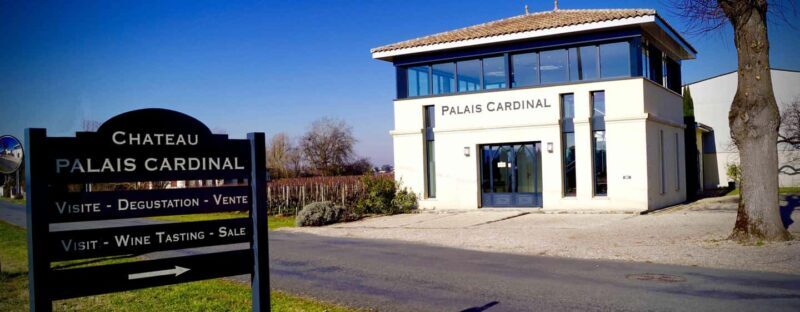 Tour & wine tasting with chocolate spheres (Saint-Emilion) - What to Expect from the Tour