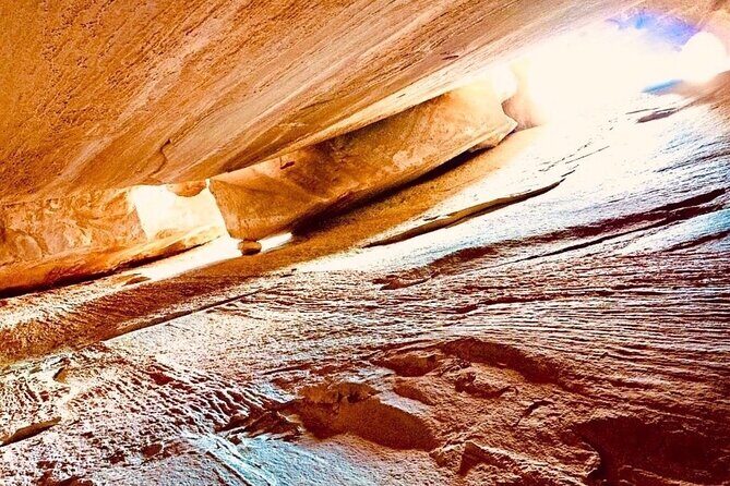 Tour with the Mountain Train, Trek to Mystic Forest and Castle - Final Thoughts