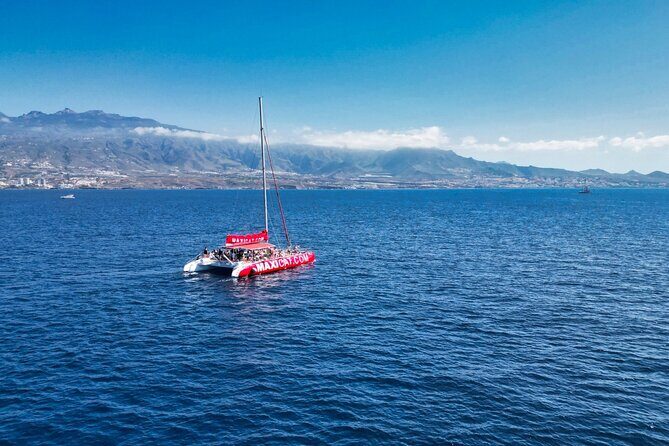 Tour with Whale and Dolphin Watching plus food included - What to Expect from the Experience