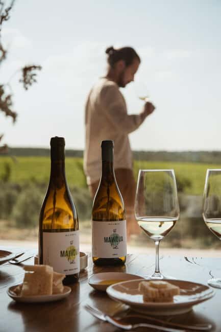 Tour with Wine and Olive Oil Tasting - In-Depth Look at the Itinerary