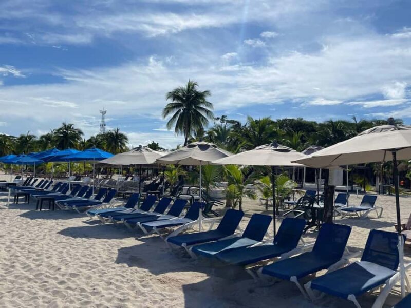 Tourist Buggy Tour of Cozumel Island - Chankanaab - The Sum Up