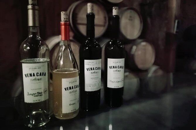 Tourist guide in the Wine Country (Valle de Guadalupe) Ensenada - What makes this tour stand out?