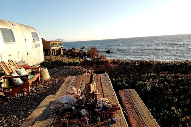 Tourist guide in the Wine Country (Valle de Guadalupe) Ensenada - What travelers might appreciate