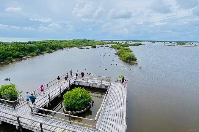 Tours along the beaches of Cozumel Mexico by buggy all inclusive - Final Thoughts